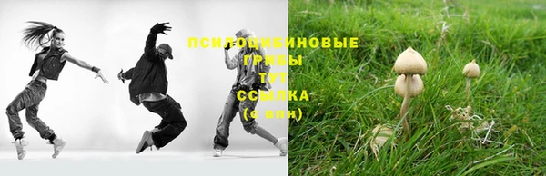 метадон Сосновка