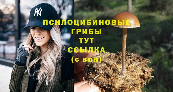 mdpv Алзамай
