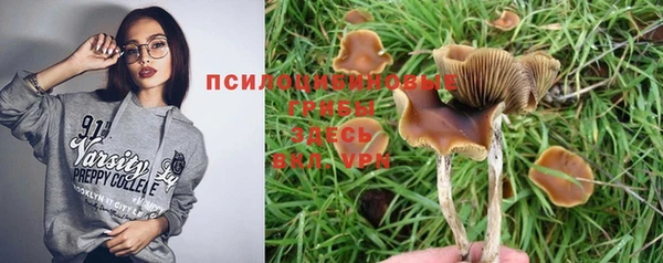 mdpv Алзамай
