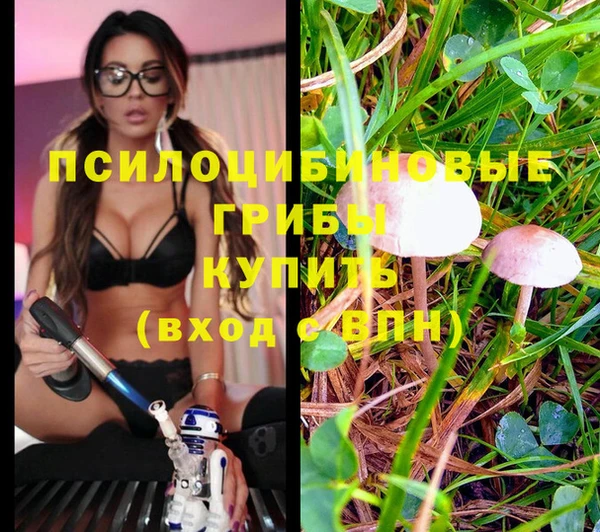 первитин Алексеевка