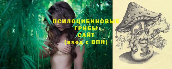 первитин Алексеевка
