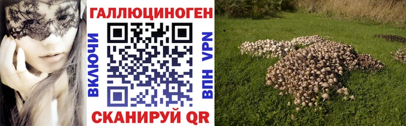 продажа наркотиков мега как войти Галлюциногенные грибы MAGIC MUSHROOMS Бронницы