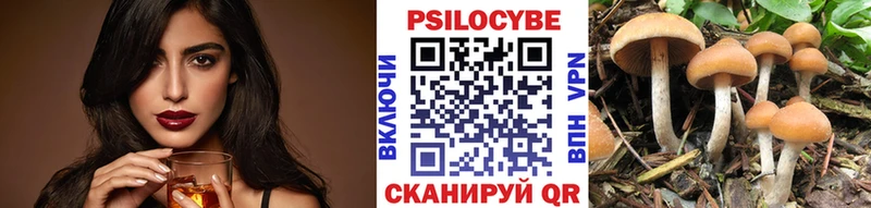 Псилоцибиновые грибы Psilocybine cubensis Бронницы